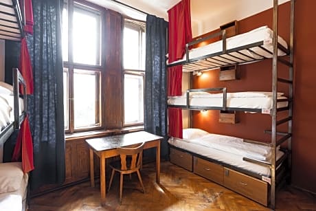 Bunk Bed in 12-Bed Mixed Dormitory