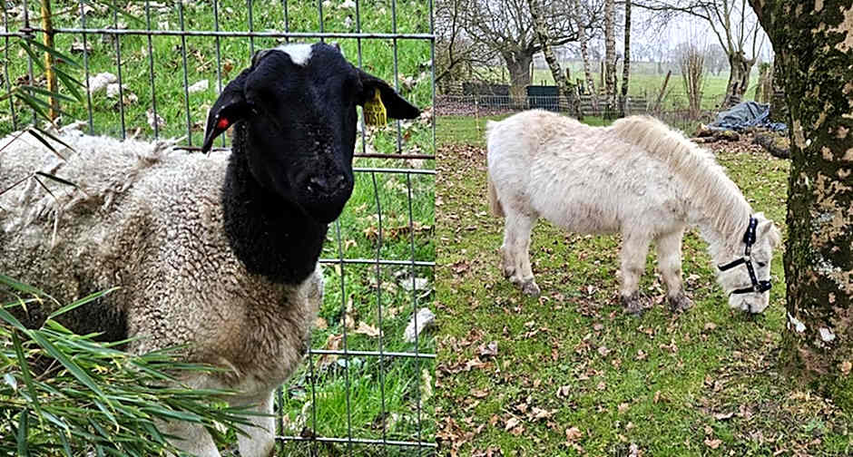 Chambre d'Hôtes le Gachignard