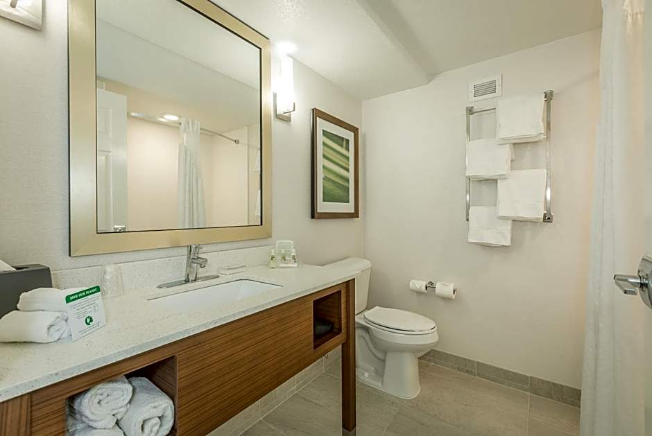 Holiday Inn Hotel and Suites Peachtree City By IHG