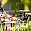 Hotel Les Haras By Stay Collection