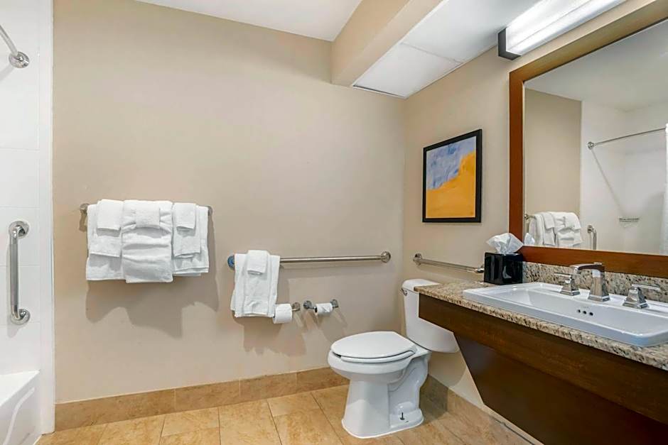 Comfort Suites Gastonia - Charlotte