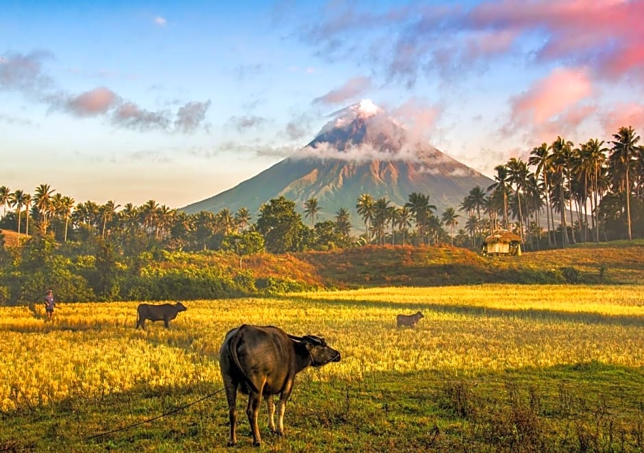 RedDoorz @ Golite Washington