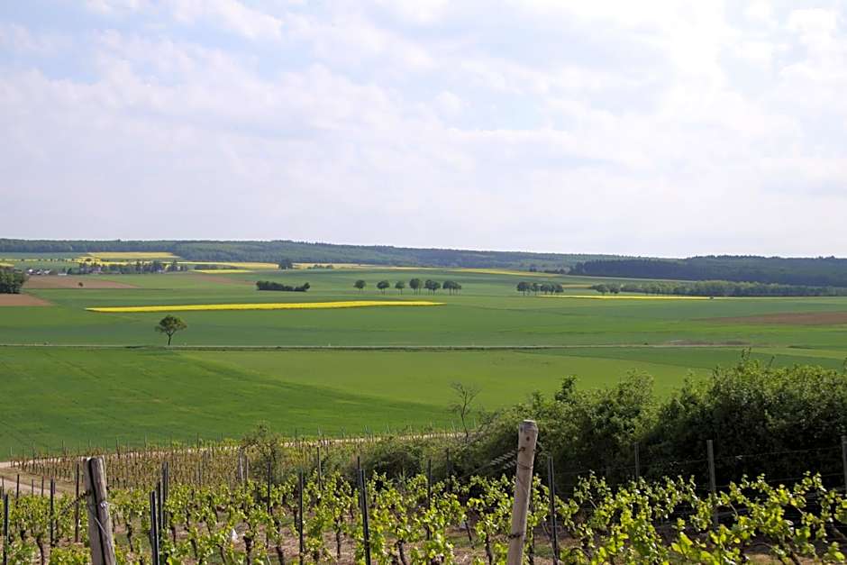 Landhotel & Weingut Espenhof