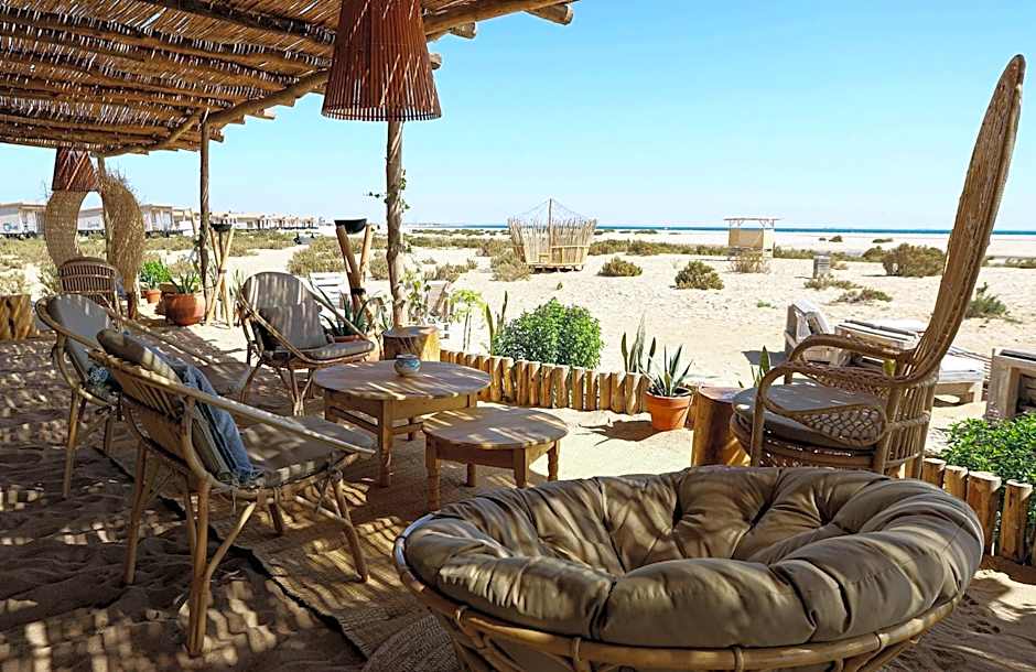 Océan Vagabond Lassarga