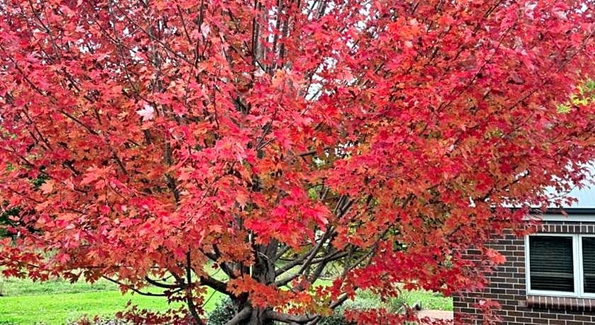 Moore Park Apartments