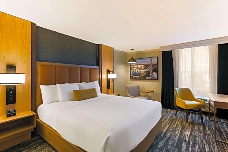 King Room with Mobility Accessible Roll-In Shower