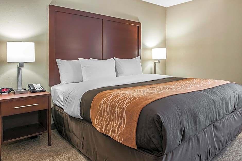 Comfort Inn Blue Ash North