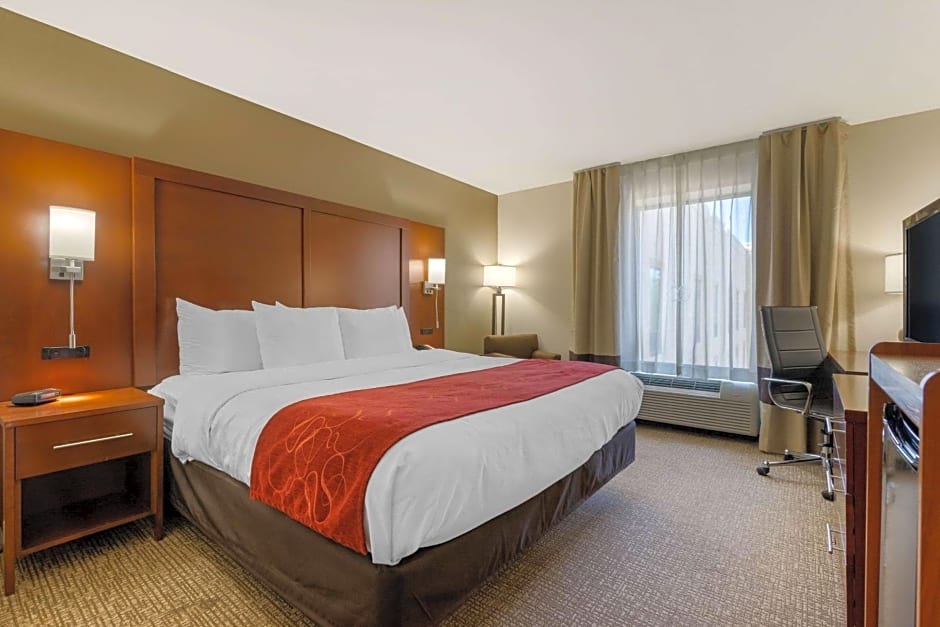 Comfort Inn & Suites Macon West