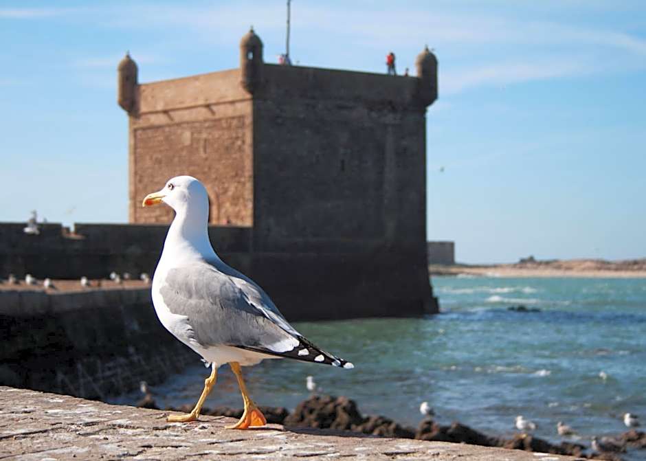 Dar Tranquille