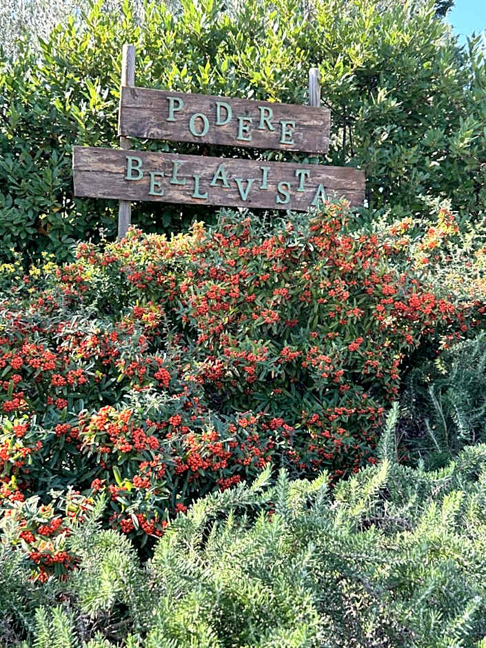 Il Podere Bellavista