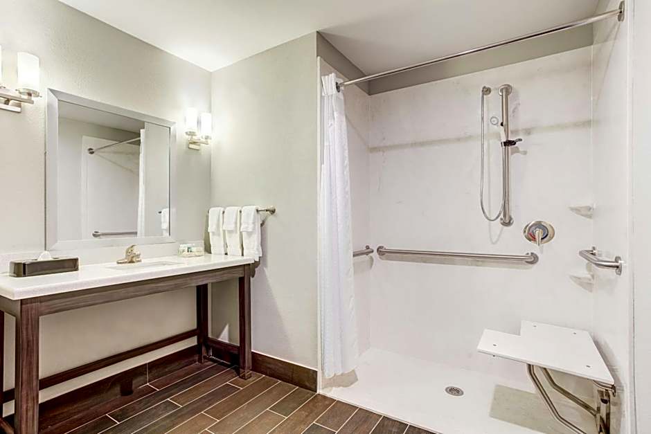 Holiday Inn & Suites Lafayette North by IHG
