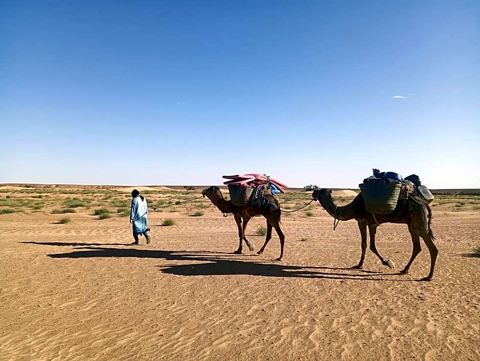 Bivouac beauté du désert
