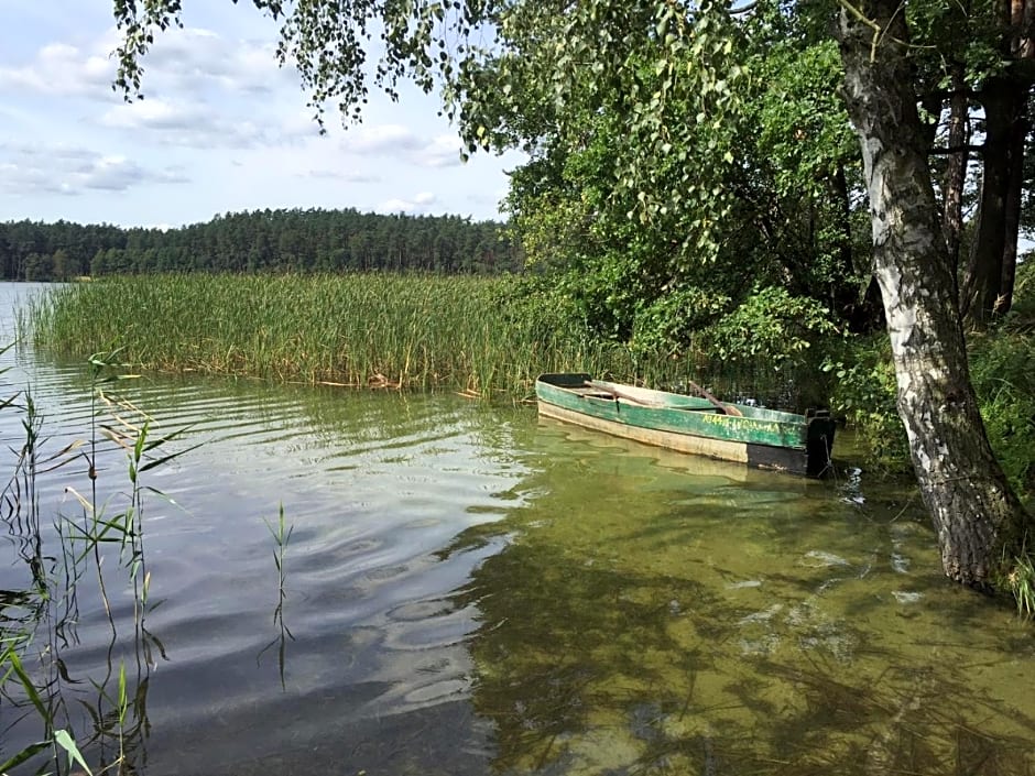 Samodzielny Dom Przy Lesie