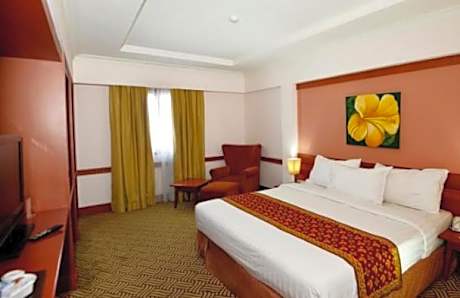Superior Double or Twin Room with City View