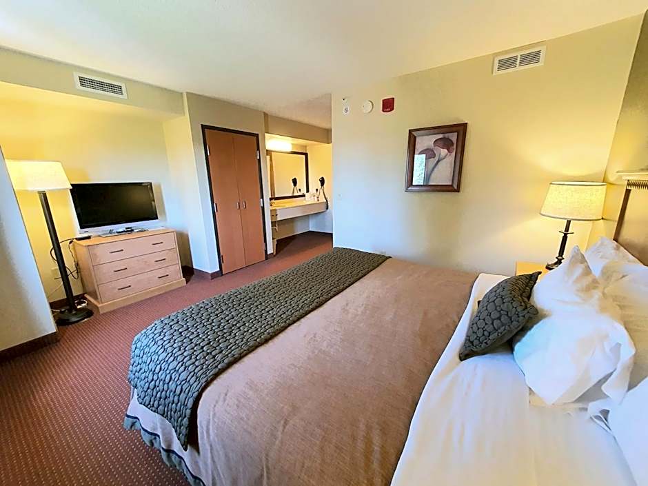 Photo 1 of 7 of Premier Studio 1 King Bed Suite, Nonsmoking