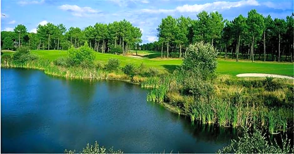 Holiday Inn Bordeaux Sud - Pessac by IHG