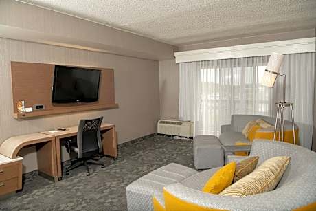 One-Bedroom King Suite