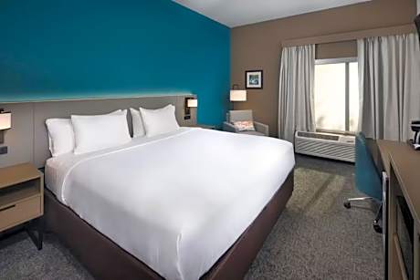 1 King Bed, Nonsmoking