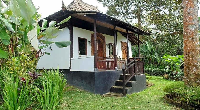Bali Mountain Retreat