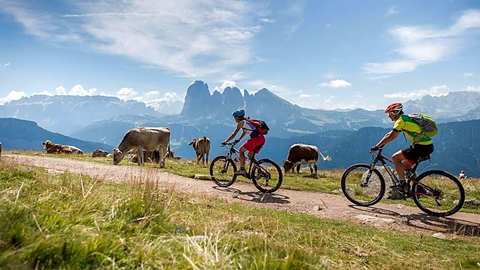 Hotel Weisses Rössl - Cavallino Bianco