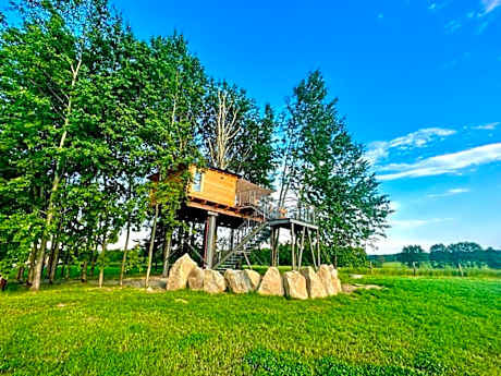 Zelený ostroff Treehouse