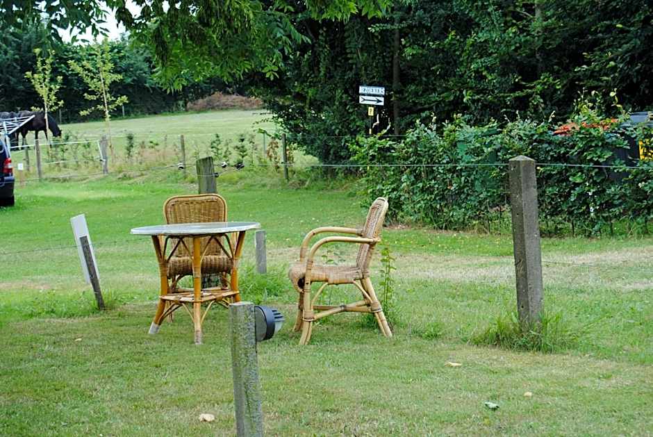 B&B Warnstee