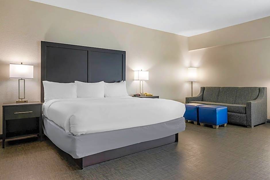 Photo 1 of 5 of 1 King Bed with Sofabed Suite