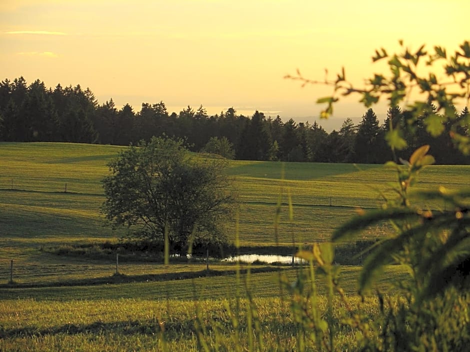 Landhotel Herzberger garni Zimmer & Ferienwohnungen