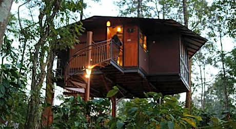 Pugmarks Jungle Lodge