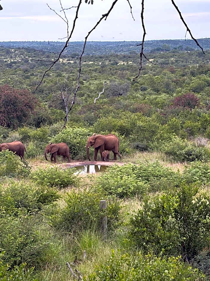 Tulani Boutique Lodge