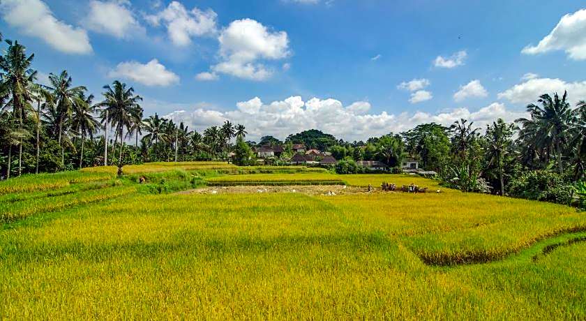 Danakha Villa Ubud