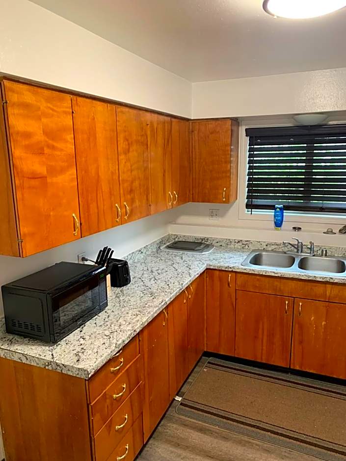410 e45th 2 bedroom apartment