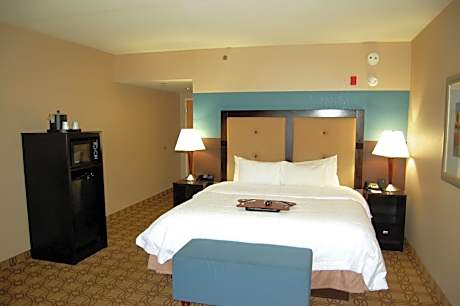 1 King Bed Nonsmoking