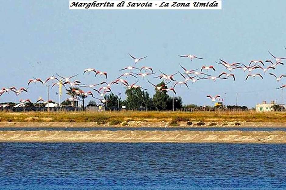 Hotel Tenuta San Francesco