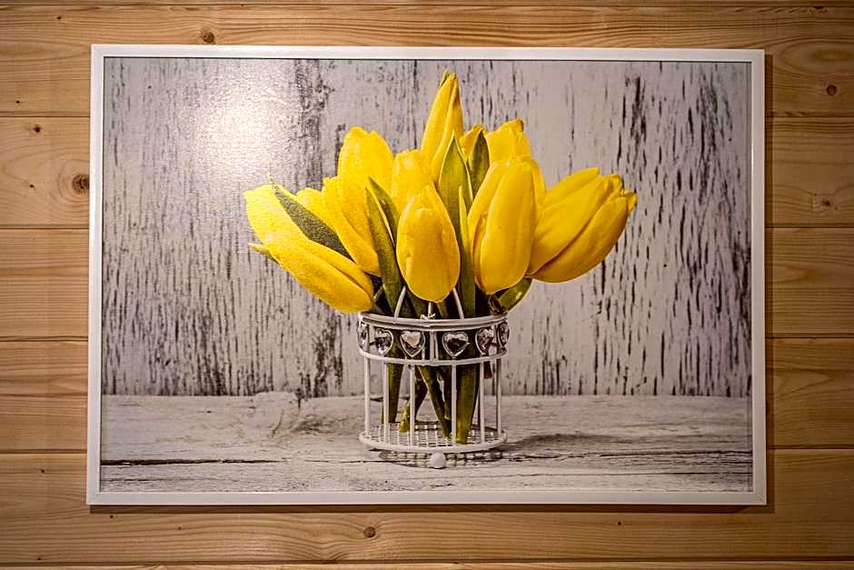 Eko domki MaMastra Szaflary