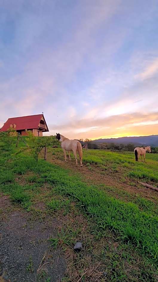 Chalé das Margaridas