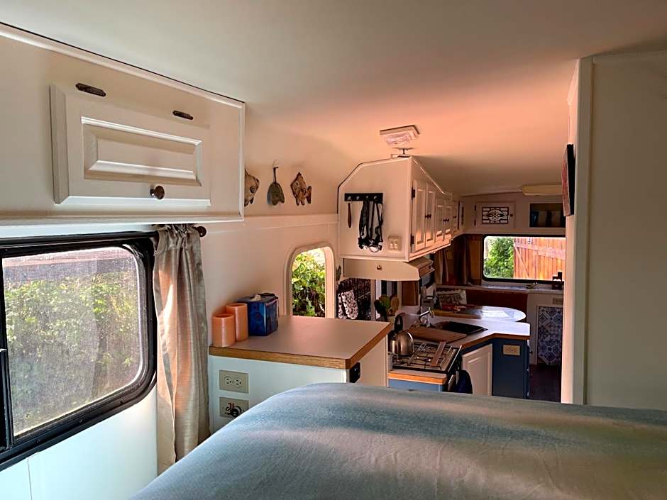 So Damn Lucky Glamping