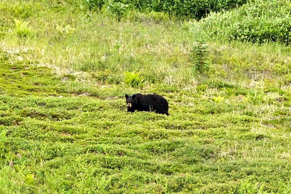 Caribou Lodge Alaska