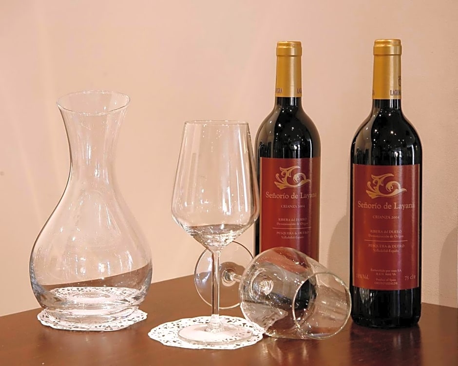 Hotel Villa de Aranda