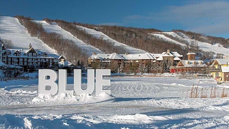 Family Comfort Stay - 2 Bedroom Apartment