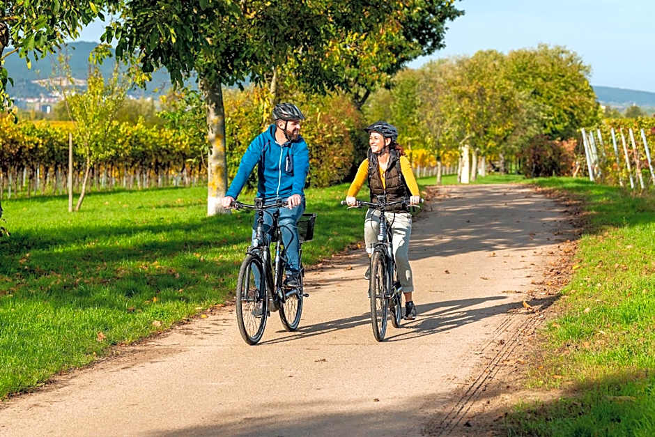 Hotel Am Hirschhorn - Wellness - Spa - and more