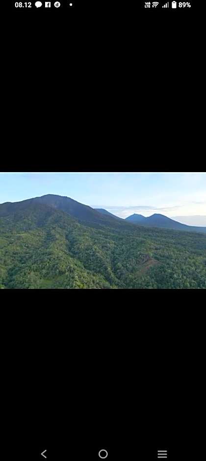 Bali mountain forest cabin