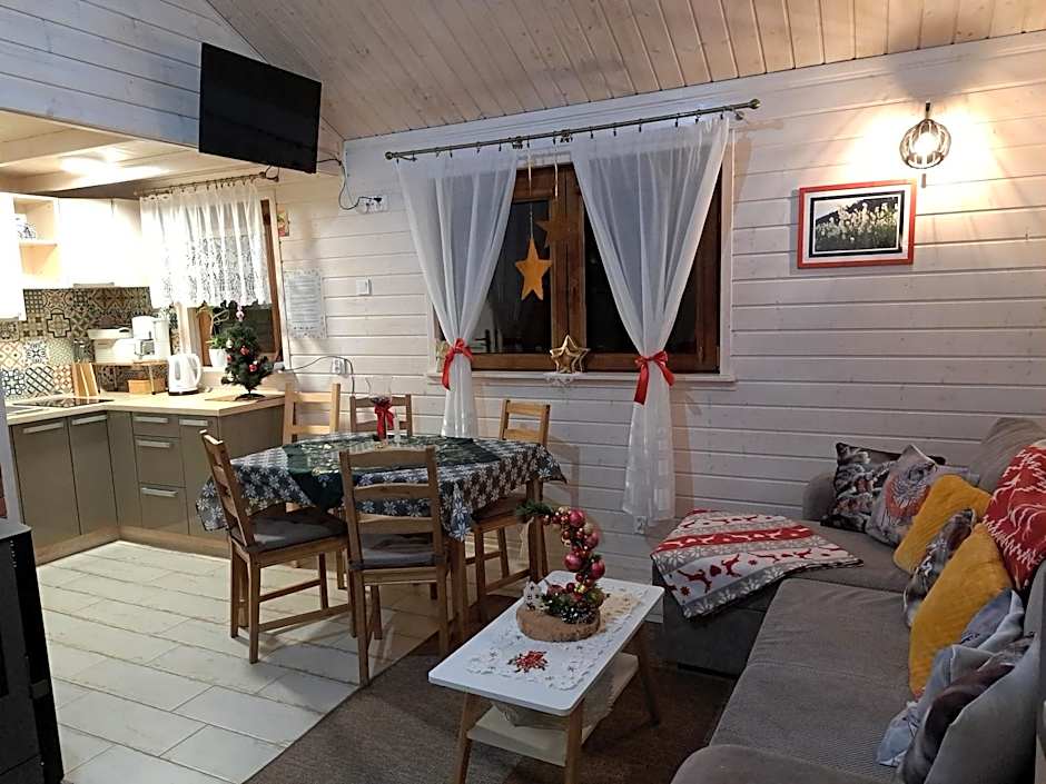 Domki Borowiackie nad brzegiem jeziora