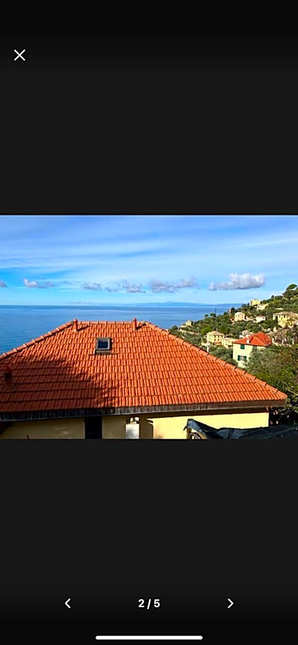 Il Gabbiano Di Pieve