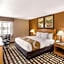 Quality Inn & Suites Plano