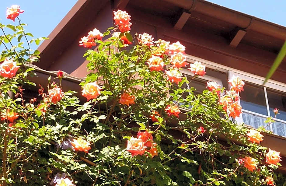 Historisches Genusshotel Löwen