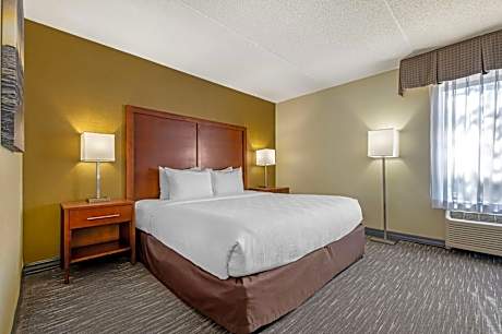 King Room with Roll-In Shower - Disability Access