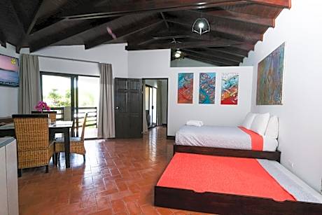 Villa with Pool View