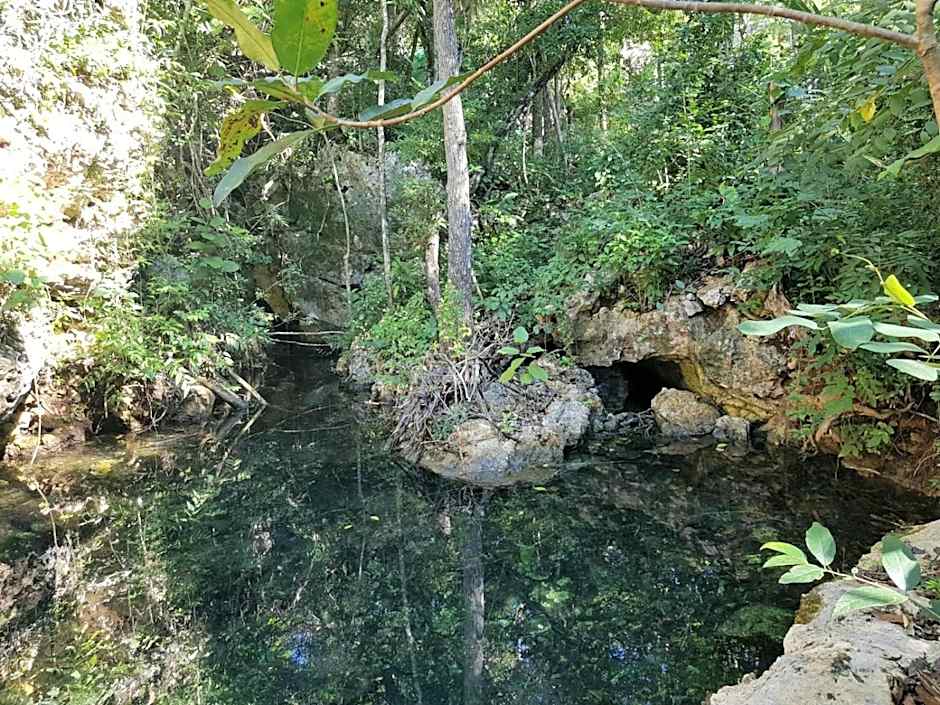 Santuario Jungle