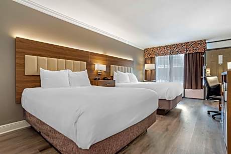 Queen Room with Two Queen Beds - Non-Smoking